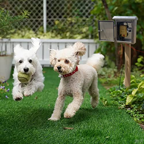 FenceMate AC Powered Electric Fence Charger Output 0.25J up to 5 Miles | Contain Small Pet, Poultry, Keep Rodent & Nuisance Animals Out, Used in Homestead, Garden, Pond, Fence Energizer up to 6 kV