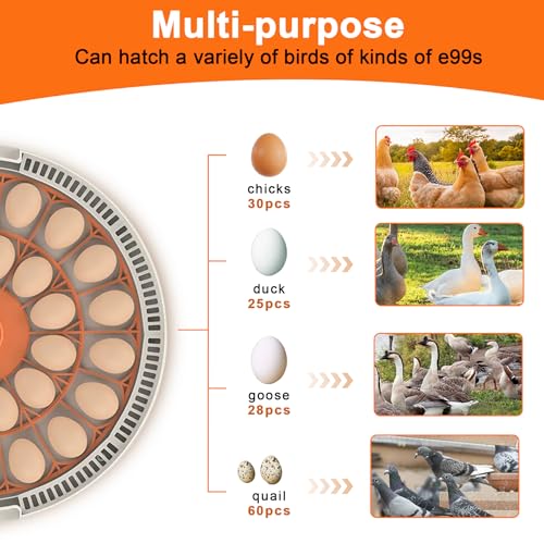 30 Egg Incubator with Automatic Egg Turning and Humidity Control,360 Degree View with Clear Window, Incubators for Hatching Eggs, Chicken, Ducks, Goose, Pigeon, Quail, Parrot - size: 30 Eggs