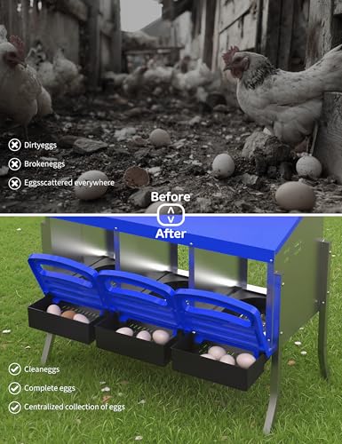GarveeLife Chicken Nesting Box 3 Hole, Galvanized Steel Nest with Roll Away Egg Collection & Swing Perch, Easy-Clean Laying Box for Hens, Heavy Duty Design for Chicken Coop - color: Blue, size: 3 holes with legs