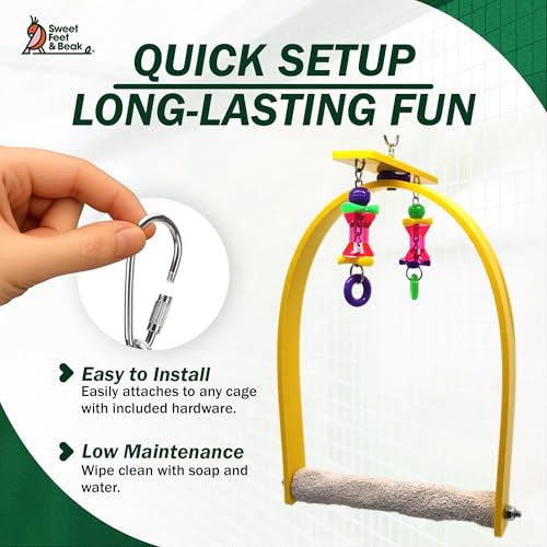 Sweet Feet and Beak Whirly Bird Swing, Small Indoor Pedicure Perch - size: Small