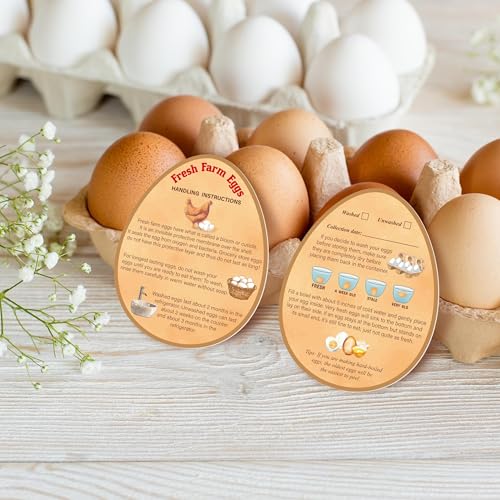 240 Pcs Egg Handling Instruction Cards Fresh Egg Farm Sign | 3.54 x 2.76 inch,Double-Sided Printing Sales Accessories for Egg Cartons & Farm Displays