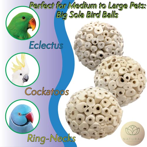 5100 Pk2 Big Sola Balls - Handmade Large Sized sola Wood Bird Foot Toys, Lightweight, Easy to Shred for Beaks and feet, Conditions While Pets chew, Excellent for med to Large Size Birds, Breaks Apart - color: Big Sola Balls, size: Pack 2