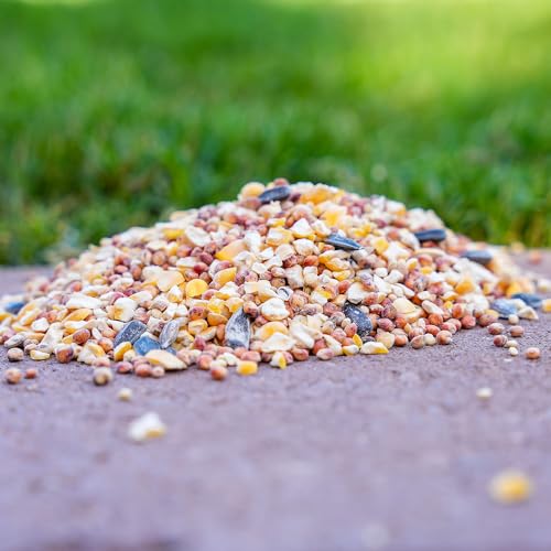 Desert Valley Dove and Quail Seed, All Natural Premium Wild Bird and Wildlife Food (3 Pounds) - size: 3 Pound (Pack of 1)