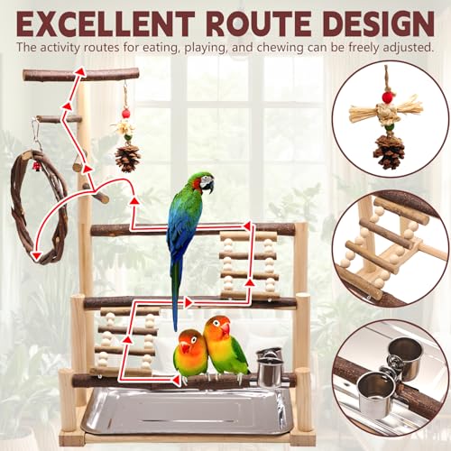 Bird Playground, Natural Wooden Parrot Stand Suitable for Small and Medium Birds, with Feeding Cups, Swing, Chew Toys,Bird Perch Ideal for Parakeets, Budgerigars,Canaries,Conures