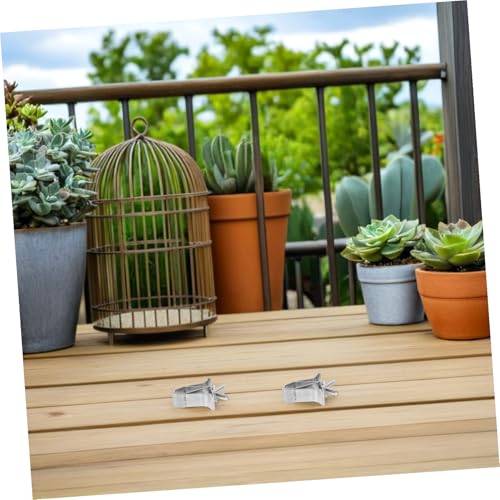 HANABASS 3pcs Bird Cage Food Tongs Vegetable Clips for Parrot Fruit Holding Easy to Use Food Clamps for Bird Feeders Practical Space-Saving Design