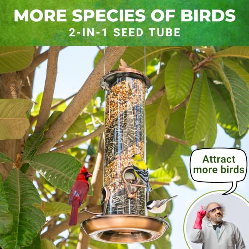 2 in 1 Spiral Bird Feeder, Hanging Bird Feeders for Outdoors, Copper Tube | finch feeders for outside, cardinal and blue jay magnet, copper metal tube bird feeder, two seed chambers, rain proof top