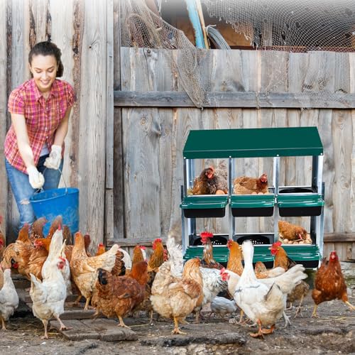 Chicken Nesting Box,6 Compartment Roll Away Nesting Box for Laying Eggs,Wall Mount Chicken Nesting Boxes,Easy Egg Collection,Cleanable Pull Out Hen Roosting Boxes 6 Hole - color: green, size: 6 holes with legs