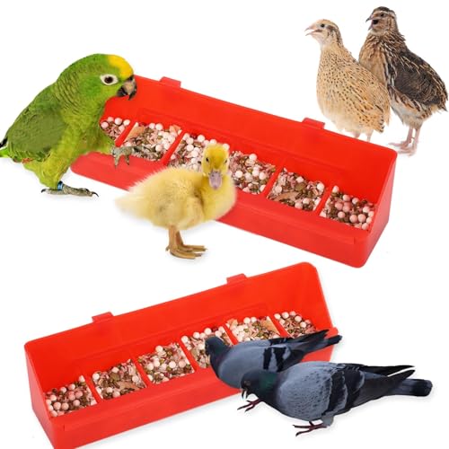4 Pack No Mess Quail Feeder Removable, Hanging Chick Feeder | 6 Slots Pigeon Feeder, Feeder Trough Water Trough for Pigeon Parrots Chicks Quail Duck Bird Poultry Animal - color: Red