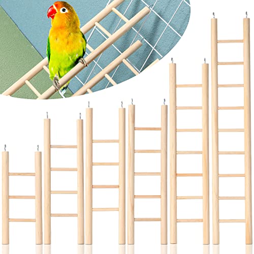 Kigeli 6 Pcs Wood Bird Ladder for Cockatiels, Small Hanging Bird Ladder for Cage, Parrot Step Hanging Climbing Toys for Pets Parakeets, Cockatoo and Lovebirds