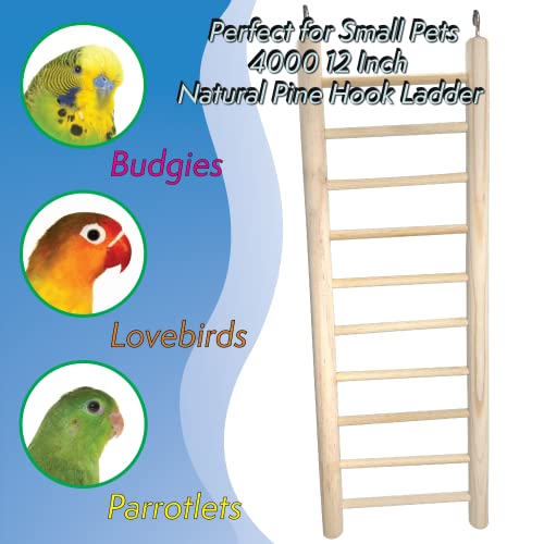 4000 12 Inch Natural Pine Hook Ladder - Straightforward Hanging Wood Ladder, Made from Natural Unfinished Pine Wood, Easy to Grab Round Parts, Great Exercise for pet Birds Budgie Finch Lovebird