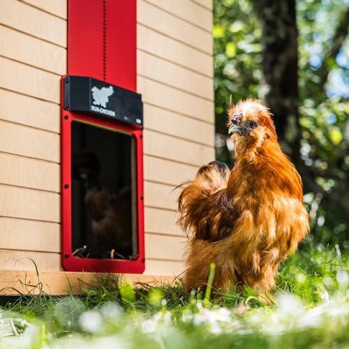 Run-Chicken Door T50 – Automatic Chicken Coop Door Opener, Battery Powered & Weatherproof Aluminum, Smart App & Timer Control, Predator Proof, Easy Install, Reliable All-Season Performance (Red)