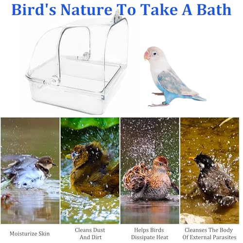 Tfwadmx Bird Cage Bath Hanging Parrot Bath Tub Water Shower Food Feeder Holder Tray Bird Bath Supplies for Small Birds Canary Budgies Cockatiel Lovebirds (Transparent) - color: Transparent
