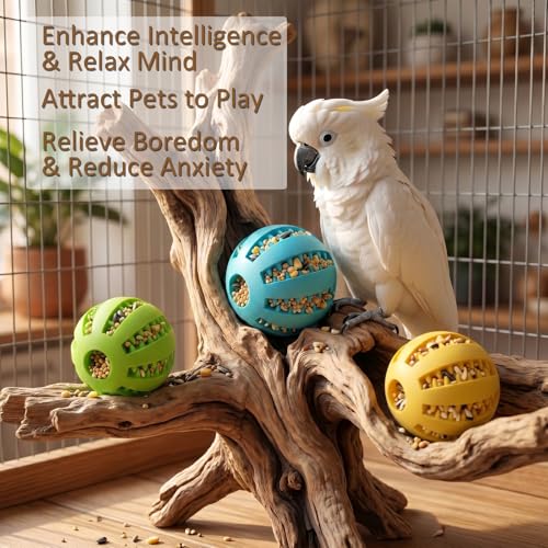 3 Pcs Bird Foraging Toys Puzzle Feeders, Parrot Foraging Toys for Parakeet Parrots Lovebirds Macaws Hamsters Guinea Pigs