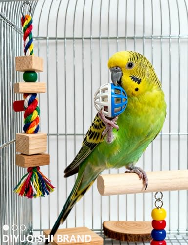 23-Pack Bird Toys for Parrots – Natural Rattan and Plastic Bell Balls | Safe, Fun Cage Decor, Foot Exercise, 1.6 in - 2.8 in - size: 1.6'' - 2.8''