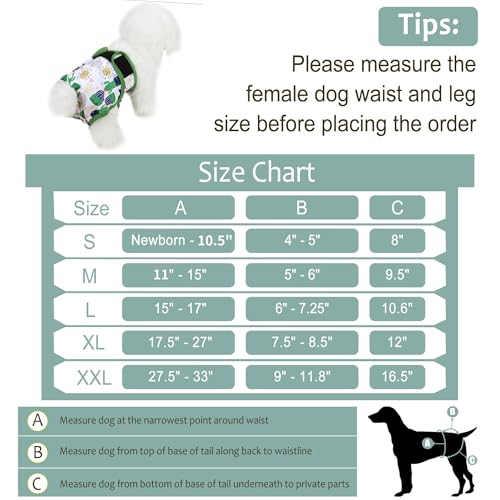 Washable Female Dog Diapers - Premium Reusable Diapers for Doggie in Heat - Highly Absorbent Dog Diapers Female for Pet Incontinence with Adjustable Snaps (Cactus，S) - color: Cactus, size: Small（New Born-11.5“Waist）