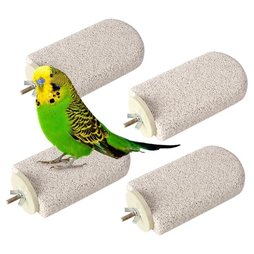 4pcs Bird Perch Stands Foot Claws Trimmer Beak Grinding Stone Parrot Climbing Chewing Toys Cage Accessories for Small Medium Birds Budgies Lovebird Conure (Large) - size: Large