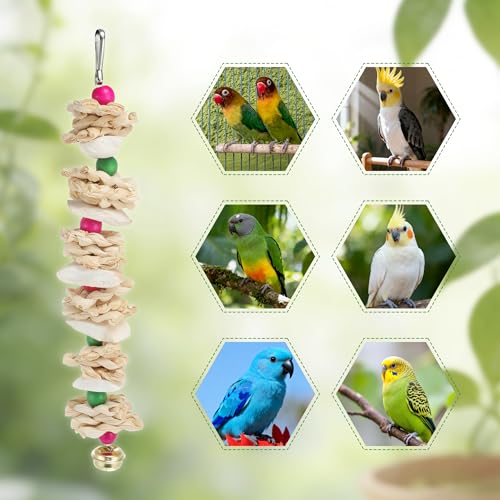 Bird Toys with Cuttlebone, Grinding Stone for Bird, 2 Pcs, B | Prevent Destructive Chewing, Colorful，White - style: Style B