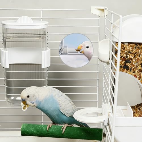 Automatic Bird Feeder Waterer Kit Bird Cage Hanging Waterer Parakeet Leak-Proof Feeder Parrot Vegetable Clips Cage Accessories for Budgies Lovebirds Finches Canaries Parrotlets Conures (White) - color: White