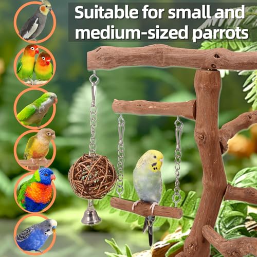 LIMIO Natural Grape Wood Bird Parakeet Playground - Perch Stand for Parakeets, Cockatiels, and Small Birds Toys