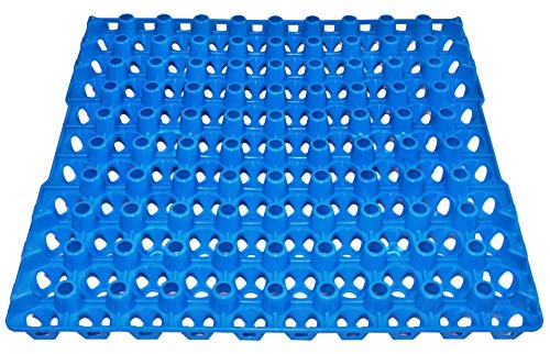12 90 Egg Plastic Trays Quail Pigeon Dove Bird Flat Carton