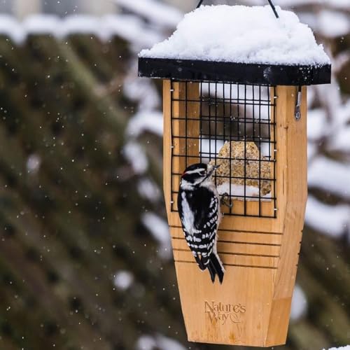 Nature's Way Bird Products CWF1 Tail-prop Suet Bird Feeder 12"H x 7.875"L x 3"W, Brown - style: Cedar Single Suet Feeder