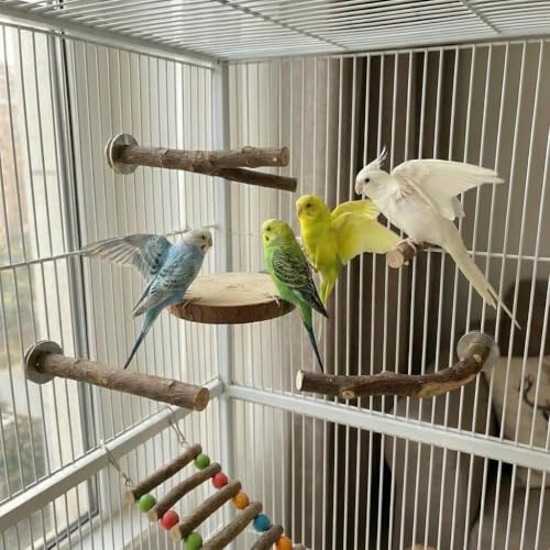 8PCS Bird Perch Stand, Natural Wood Parrot Stand Branch Paw Grinding Y Fork,Bird Cage Branch with Wooden Hanging Perch Platform Hammock Swing Toy for Small Parakeets,Budgies,Cockatiels,Conures,Finches