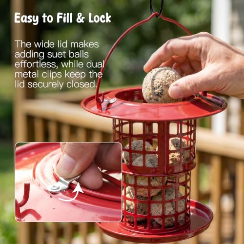 KOL Metal Suet Ball Feeder for Birds – Single-Layer Expandable Design Suet Bird Feeder, Heavy-Duty Wild Bird Feeder with Secure Lid, Large Capacity for Backyard (Red) - color: Red