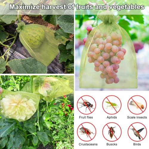 Shintop 100Pcs Fruit Protection Bags, 8x12 Inch Green Grape Netting Cover | Drawstring Garden Bags, Fine Mesh Pest Barrier, Breathable Organza, Lightweight for Delicate Stems, For Apples, and Tomatoes - size: 8x12 inch