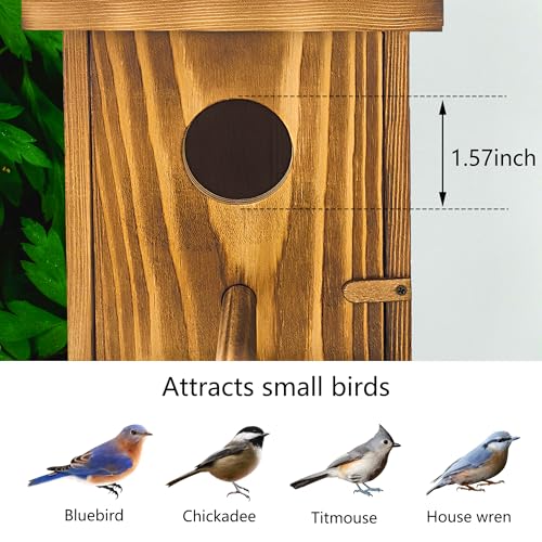 1 Pack Bird Houses for Outside,Wooden Wren Birdhouse with Detachable Perch,Finch Bluebird Houses Hanging Birdhouse for Outdoors - size: 1 Pack