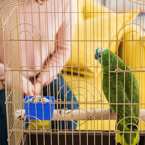 40 Pcs Cage Cups Chicken Feeder Cups 16 oz Hanging Bird Food Water Cups Bunny Cage Feeding Bowl Dish for Pet Parrot Rooster Parakeet Gamefowl Poultry Pigeon Wire Cage(Blue) - color: 16oz-Blue