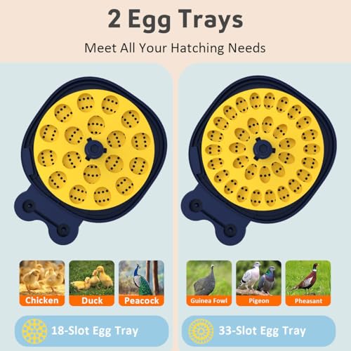 18 Egg Incubator for Hatching Eggs with Automatic Turning, Digital Temperature & Humidity Control, Built-in Egg Candler & Auto Water Refill, 360° Clear View for Chicken