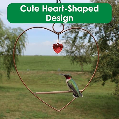 Tweet Heart Hummingbird Swing - Copper - Wooden Dowel | Decorative Jewel Heart - Hummingbirds Guard Their Feeder - Copper Finish Frame - color: Copper