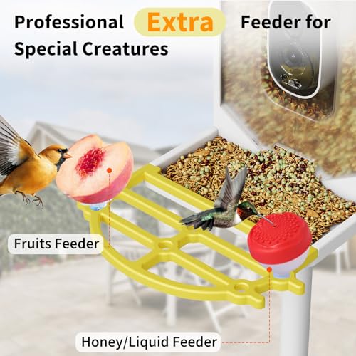 GarveeLife Smart Bird Feeder with 2K Camera & AI Recognition,Solar Powered | 2L Capacity, Night Vision, App Alerts, Auto Capture Photos/Videos for Bird Watching - color: Yelllow