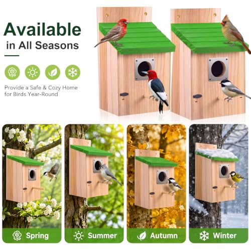 CHILDLION 2 Pack Bird Houses for Outside Clearance with Metal Guard, Fir Wooden Bird Houses, Hanging Bird Nesting Box for Backyard Garden Wild Birds
