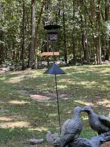 Rocky Mountain Goods Wood Bird Feeder Tray for Outside - 12" Hanging Platform Feeder for Cardinals, Jays - Universal Seed Tray with Drainage - Easy to Fill & Clean - Durable Pine + Rust-Free Hardware