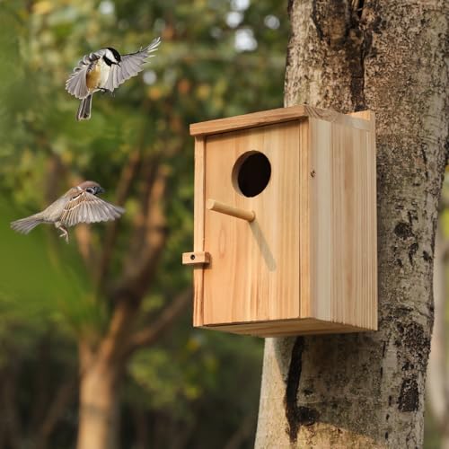 LEOSYY2 Pack Bird Houses for Outside with Clean-Out Door,Bird House Outdoor | Solid wood outdoor nesting boxes for small wild birds, backyard birdwatching, tree or fence mounting