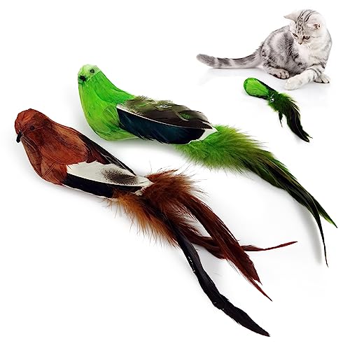 TTcat 2 Pack Realistic Bird Cat Toys, Natural Feather Simulated Bird Kitten Interactive Hunting Play Toy, Lightweight Indoor Cat Exercise Toy for Indoor Cats and Kitten.