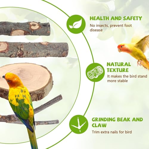 12 Pcs Natural Wood Bird Perch Stand & Platform Set for Cages | Ideal for Small/Medium Birds (Budgies, Conures) | Bark Textures for Foot Health | Tool-Free Wing-Nut | Safe Chewing - size: Deluxe Playground Set - 12PCS