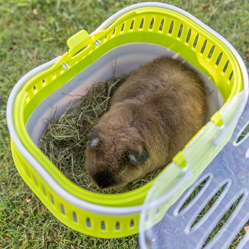 Trixie Pico Transport Crate - Portable Pet Carrier Great for On-The-Go - Traveling Cage for Small Pets, Hamsters, Guinea Pigs, Lizards, and More | Portable Pet Carrier, Ideal for On-The-Go, Traveling Cage for Small Pets, Hamsters, Guinea Pigs, Lizards - s