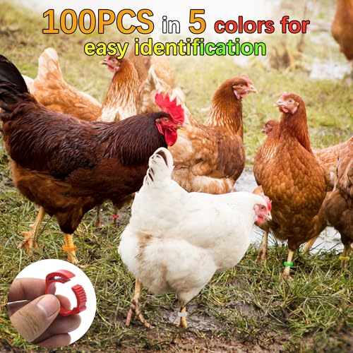 100 Pcs 16mm Chicken Leg Bands Number 01-100, Colorful Chicken Identification Leg Bands, Leg Rings Foot Tags for Chick, Duck Poultry, Goose, Turkey, Guinea, Hens, Pigeon