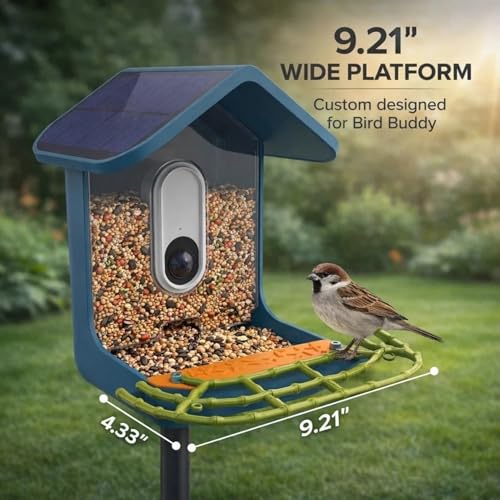 Bird Feeder Perch Extender Compatible with Bird Buddy, Bamboo-Style ABS | 9.21 x 4.33 x 0.43 in, two-screw mounting, dual side ports, wider landing area, improved full-body camera framing - color: Lime Green
