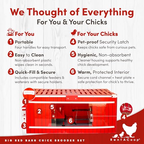 RentACoop Big Red Barn Chick Brooder Set with Heating Plate