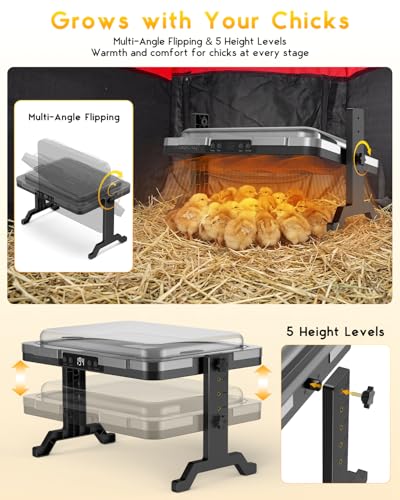 Magicfly Brooder Plate for Chicks, 200W Radiant Brooder Heating Plate | 11" x 15" Chicken Coop Heater for 20 Chicks, Digital Temp & Timer, with Remote Control & Cover for Ducklings, Quail