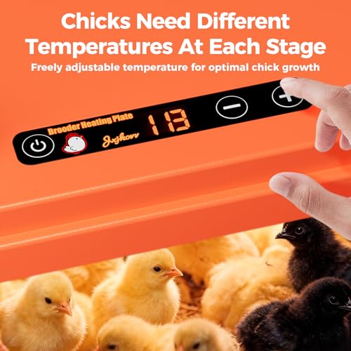 Smart Chick Brooder Heating Plate 10"x10" with Digital Temp Control (95℉-149℉), Stepless Adjustable Height & Anti-Roosting Cone, Mother Hen Chick Heater for Up to 15 Chicks - color: ORG-DSP-10