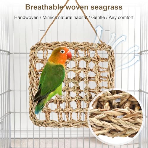 2Pcs Natural Sea Grass Parrot Mat - Foraging Chew Wall Toy with Climbing Rope & Hook, Hanging Play Pad for Lovebirds/Cockatoos/Budgerigars/Conures/Pigeons | 2 Sizes29.53x6.89 &7.48x7.48 Inches
