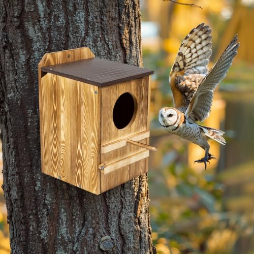 9'' x 14.5'' Owl House for Outdoor, Screech Owl House, Bird Box Large Handmade Wooden Circular Opening Screech Box for Outside with Mounting Screws and A Bag of Wood Shavings