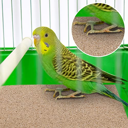 Fabbay 100 Pcs Gravel Paper for Bird Cage Gravel Liner Paper Pet Sandpaper Special for Bird Cage in Sea Sand, Easy Clean Pet Sandpaper Calcium Paper for Birdcage Parrots Cockatiels(11 x 17 Inch)
