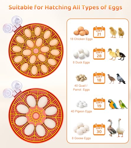 18 Egg Incubator with Automatic Egg Turning, Digital Temperature Humidity Control, Incubator for Hatching Eggs, 360° View Candler, Chicken, Quail, Duck, Goose, Turkey for Home & Farm