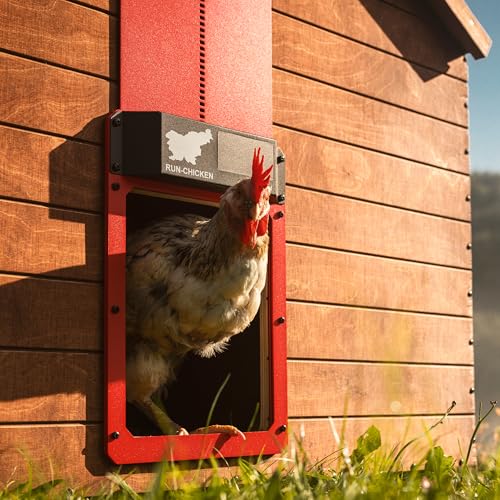 RUN-CHICKEN Door Eternal – Solar Automatic Chicken Coop Door with Built-in Solar Power & Battery Backup, Smart App & Timer Control, Weatherproof Aluminum, Predator-Proof, Easy to Install (Red)