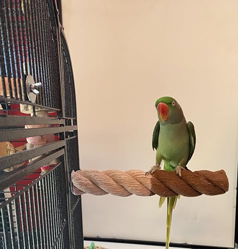 Polly's Sand-E-Rope Safety Bird Perch Toy-Trims Nails & Beak-Promotes Healthy Feet-Safe Non-Toxic-Bird Supplies for Bird Cages (Brown, Large) - color: Brown, size: Large